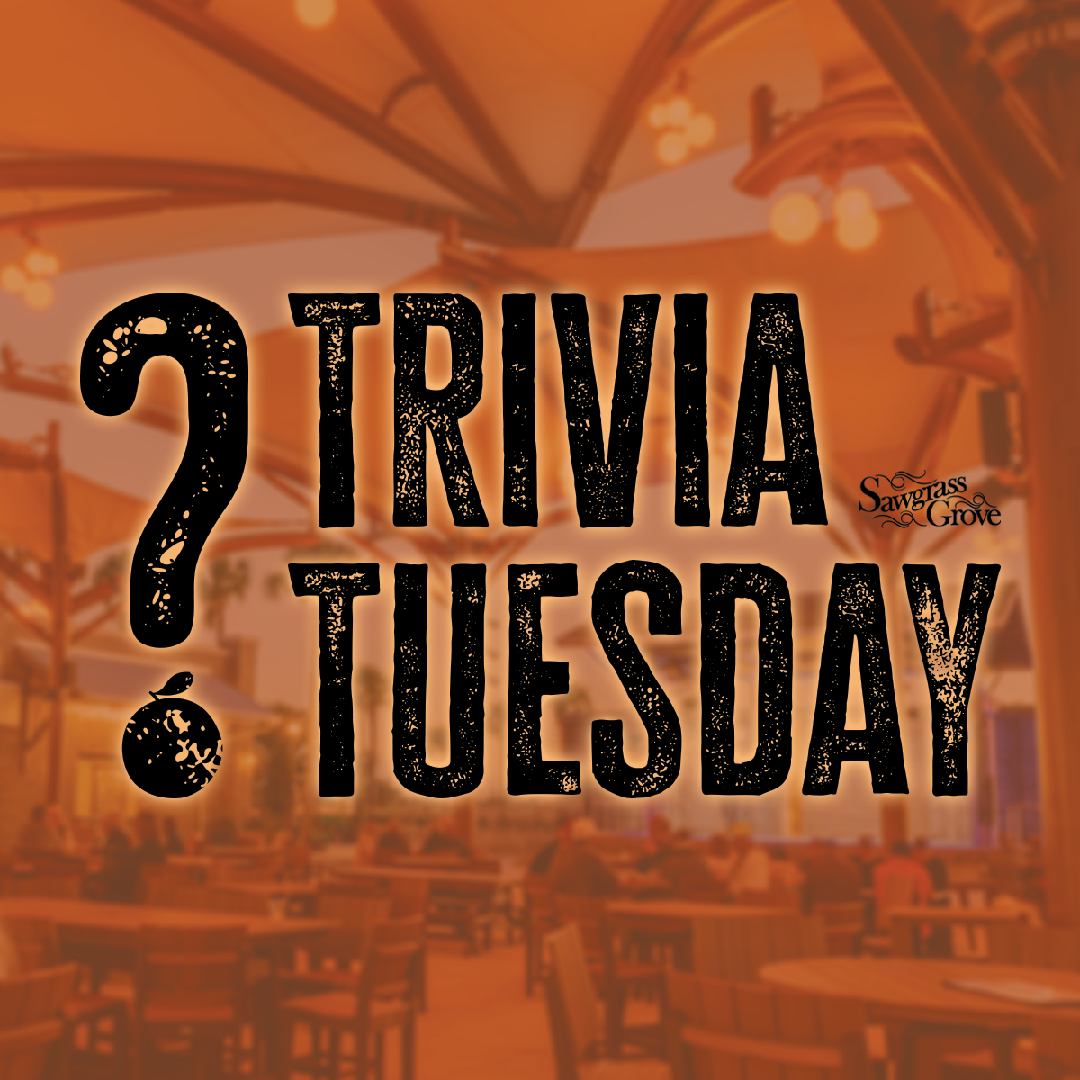 Trivia Tuesday