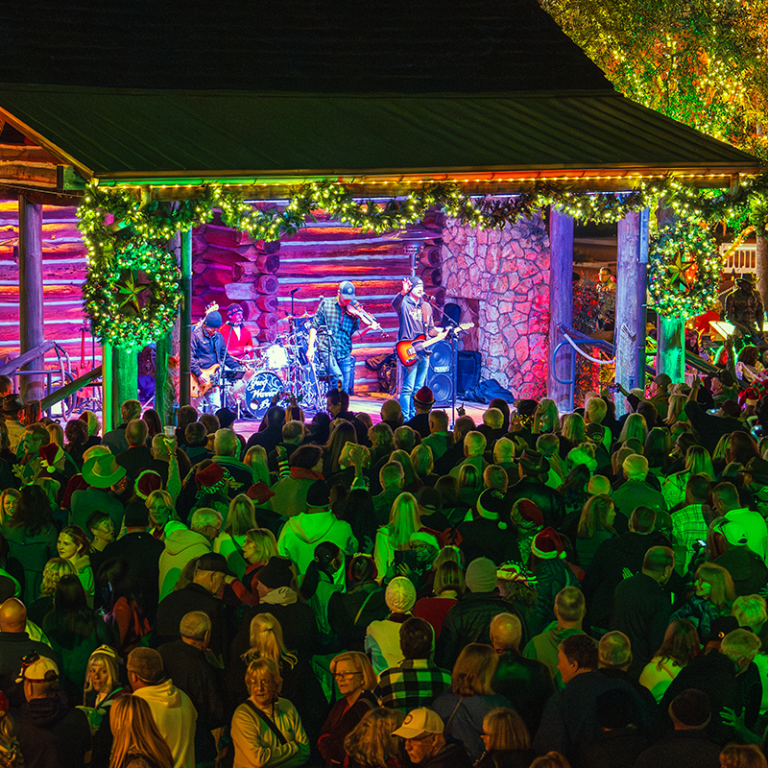 Holiday concert with crowd and lights