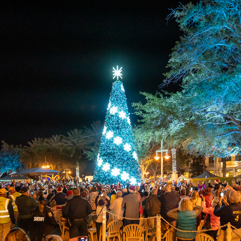 Lake Sumter Christmas Tree with patrons looking at Christmas tree