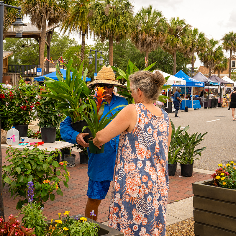 A plant vendor hands a tropical plant to a patron.