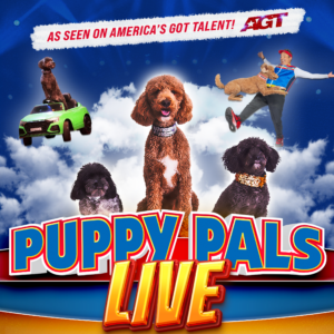 Colorful promo for Puppy Pals Live! featuring adorable stunt dogs in costumes performing tricks in the clouds, with the tagline “As Seen on America’s Got Talent!”