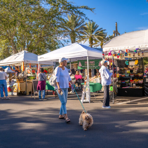 entertainment-arts-and-crafts-festival-lsl-120