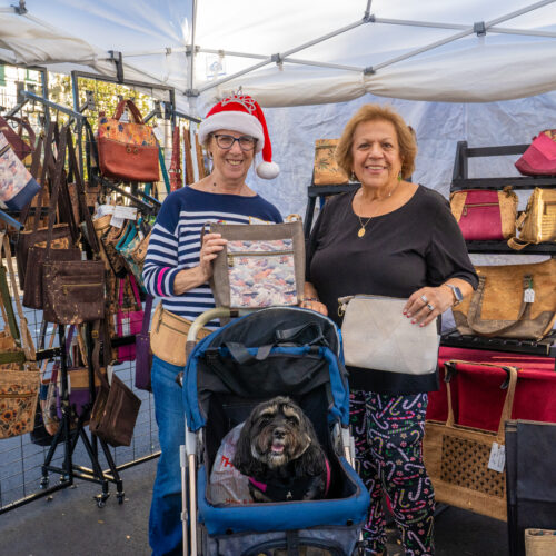 entertainment-arts-and-crafts-festival-lsl-170