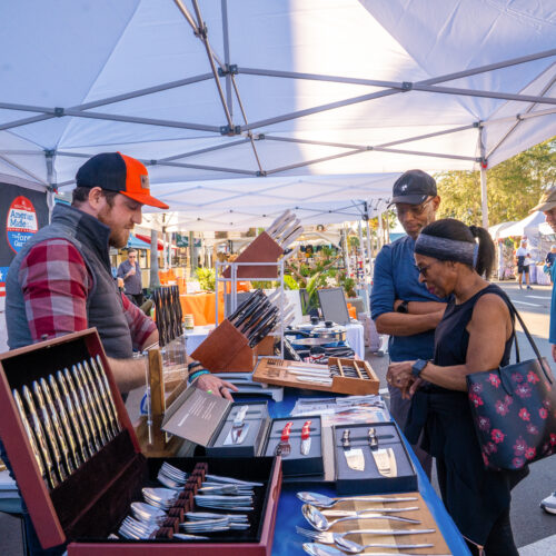 entertainment-arts-and-crafts-festival-lsl-184