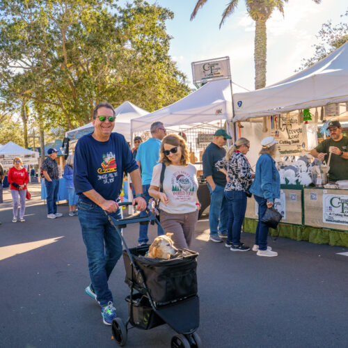 entertainment-arts-and-crafts-festival-lsl-72