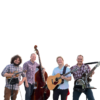 Fiddle Rat Band Photo