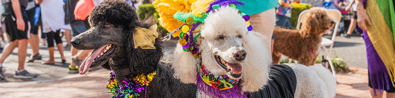 lake-sumter-mardi-gras-103