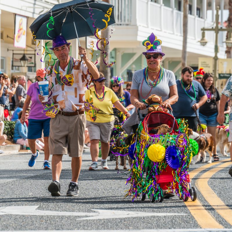 lake-sumter-mardi-gras-19
