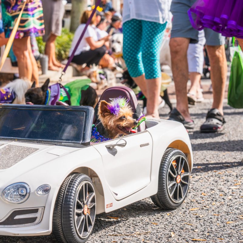 lake-sumter-mardi-gras-28